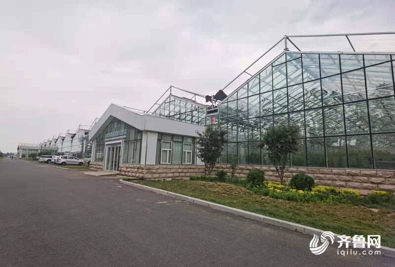 高端智庫看山東 如何豐富“壽光模式”內(nèi)涵？專家支招 結(jié)合新發(fā)展機(jī)遇，用數(shù)字經(jīng)濟(jì)賦能產(chǎn)業(yè)，推廣新材料技術(shù)